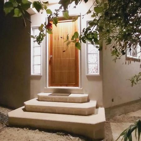 NEW! CASA XOLA Cenote&Fauna Loft Cozumel Exterior foto
