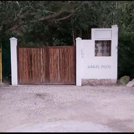 NEW! CASA XOLA Cenote&Fauna Loft Cozumel Exterior foto
