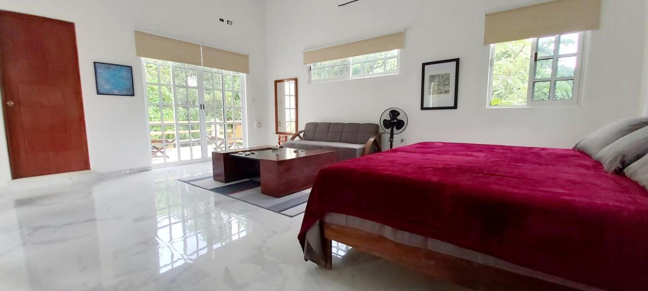 NEW! CASA XOLA Cenote&Fauna Loft Cozumel Exterior foto
